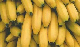 香蕉网国产,探索本土创意与产业的融合之路