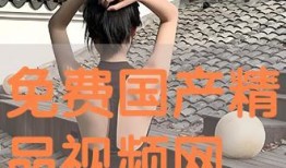 国产片精品免费视频