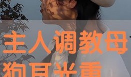 主人调教视频国产