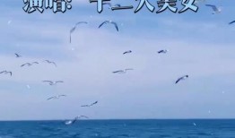 九九爱国产,传承红色基因，共筑民族复兴梦