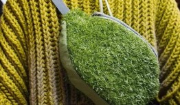 青青青草国产免费观看,国产免费观看，绿色生态影视盛宴