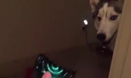 主人调教视频国产