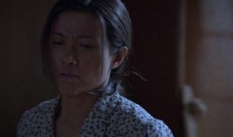 国产母子乱,温情脉脉的家庭故事