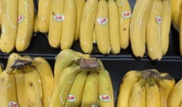 香蕉网国产,探索本土创意与产业的融合之路