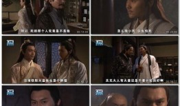 国产字幕,跨越语言障碍，传递文化魅力