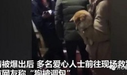 主人调教视频国产