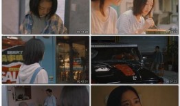 国产字幕,跨越语言障碍，传递文化魅力